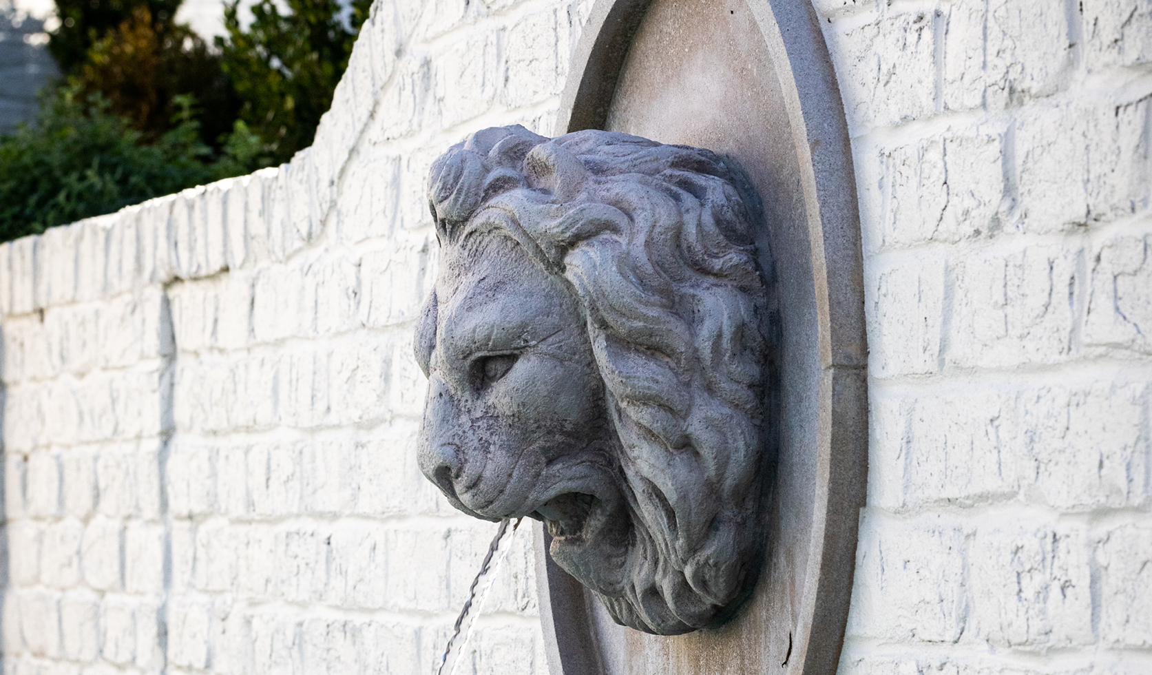 Eton Road Custom Pool Lion Fountain