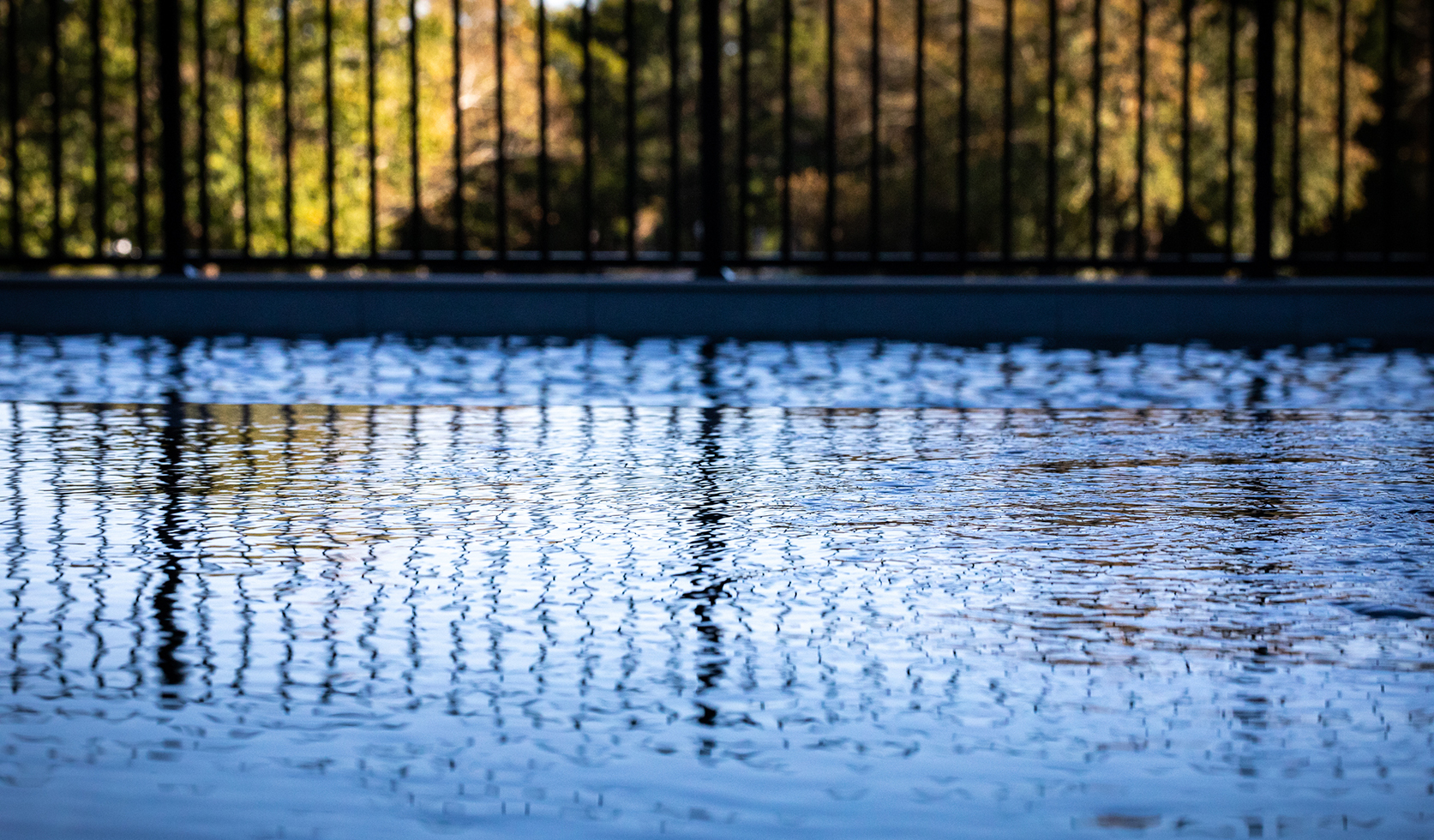 Rockingham Road Custom Pool Custom Gate